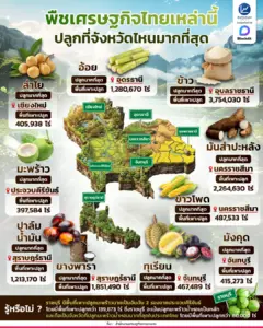 พืชเศรษฐกิจไทยเหล่านี้ ปลูกที่จังหวัดไหนมากที่สุด